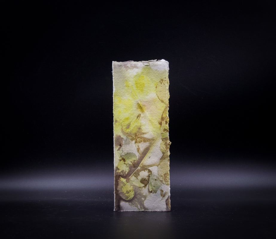 Plant-Stained Paper Bookmark - Artist Choice