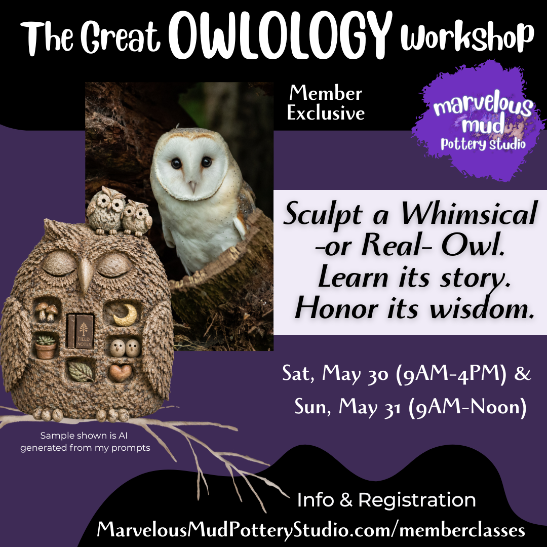 Pottery Class -The Great Owlology Workshop