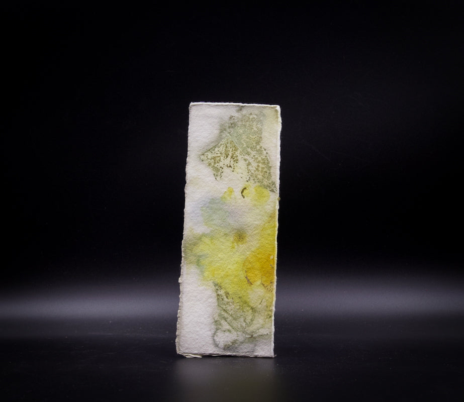 Plant-Stained Paper Bookmark - Artist Choice