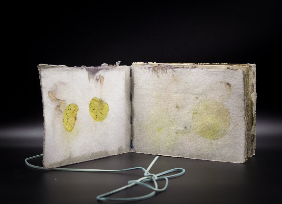 Plant-Stained Paper Journal - "Cora" - Hand-Dyed Interior Pages