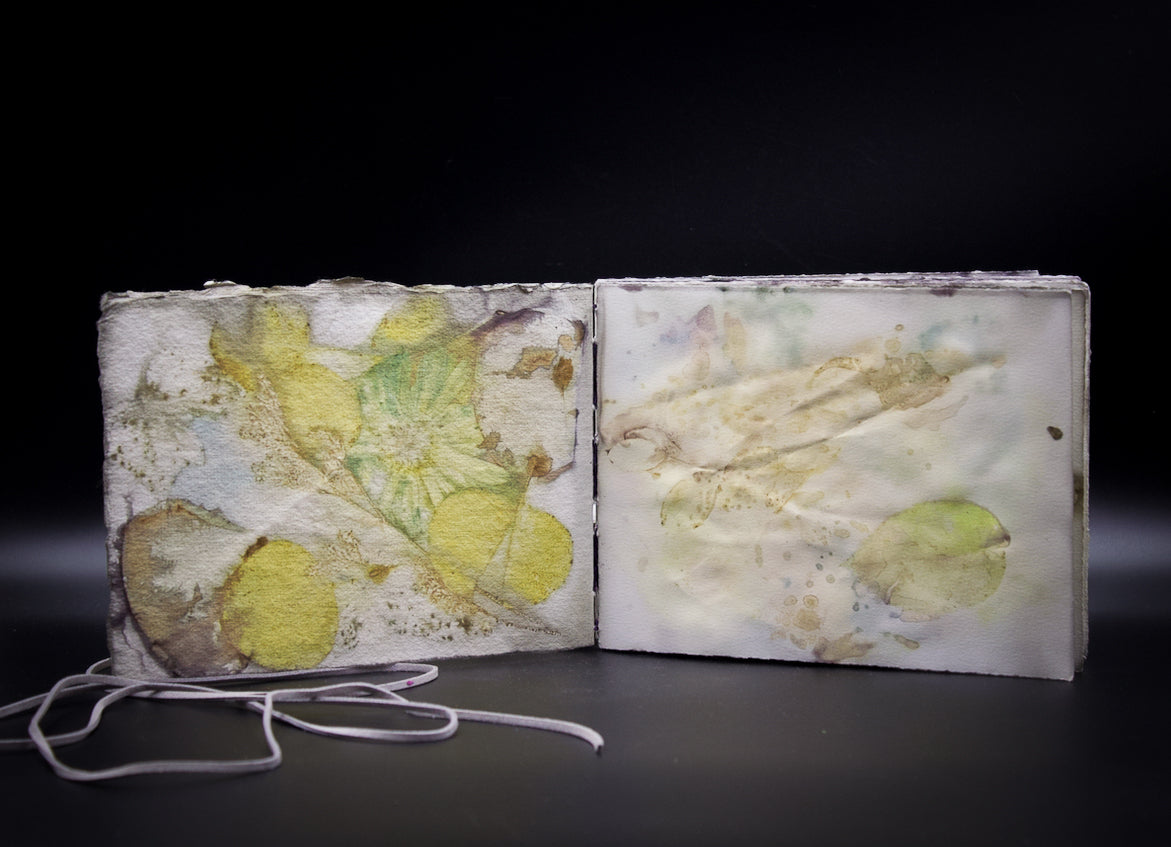 Plant-Stained Paper Journal - Classic One-Sided - Landscape - "Caitlin"