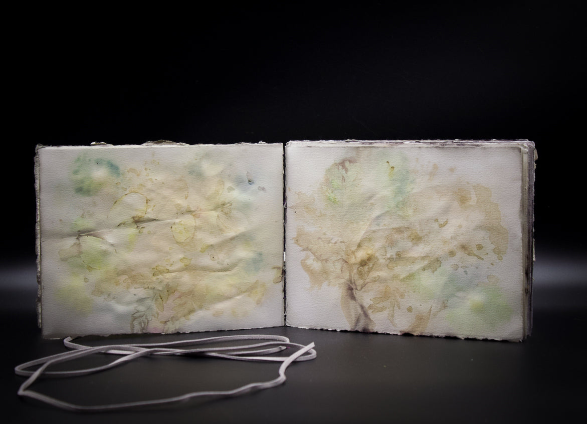Plant-Stained Paper Journal - Classic One-Sided - Landscape - "Caitlin"
