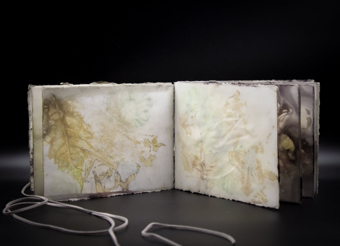 Plant-Stained Paper Journal - Classic One-Sided - Landscape - "Caitlin"