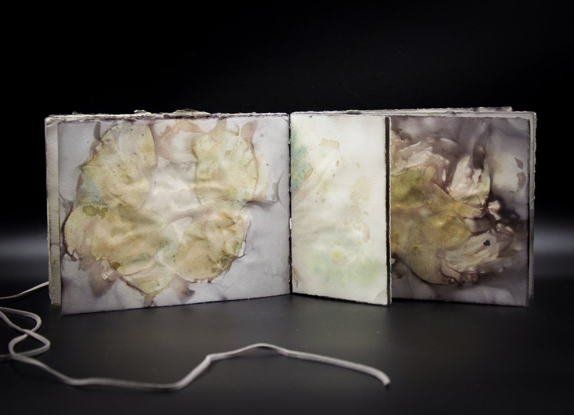 Plant-Stained Paper Journal - Classic One-Sided - Landscape - "Caitlin"