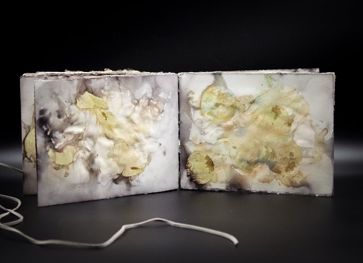 Plant-Stained Paper Journal - Classic One-Sided - Landscape - "Caitlin"