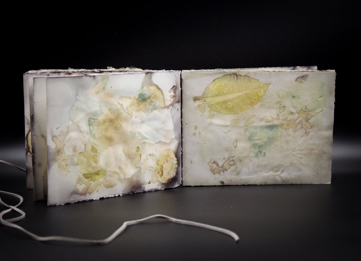 Plant-Stained Paper Journal - Classic One-Sided - Landscape - "Caitlin"