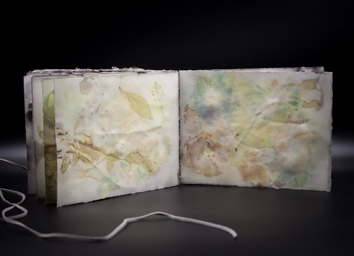 Plant-Stained Paper Journal - Classic One-Sided - Landscape - "Caitlin"