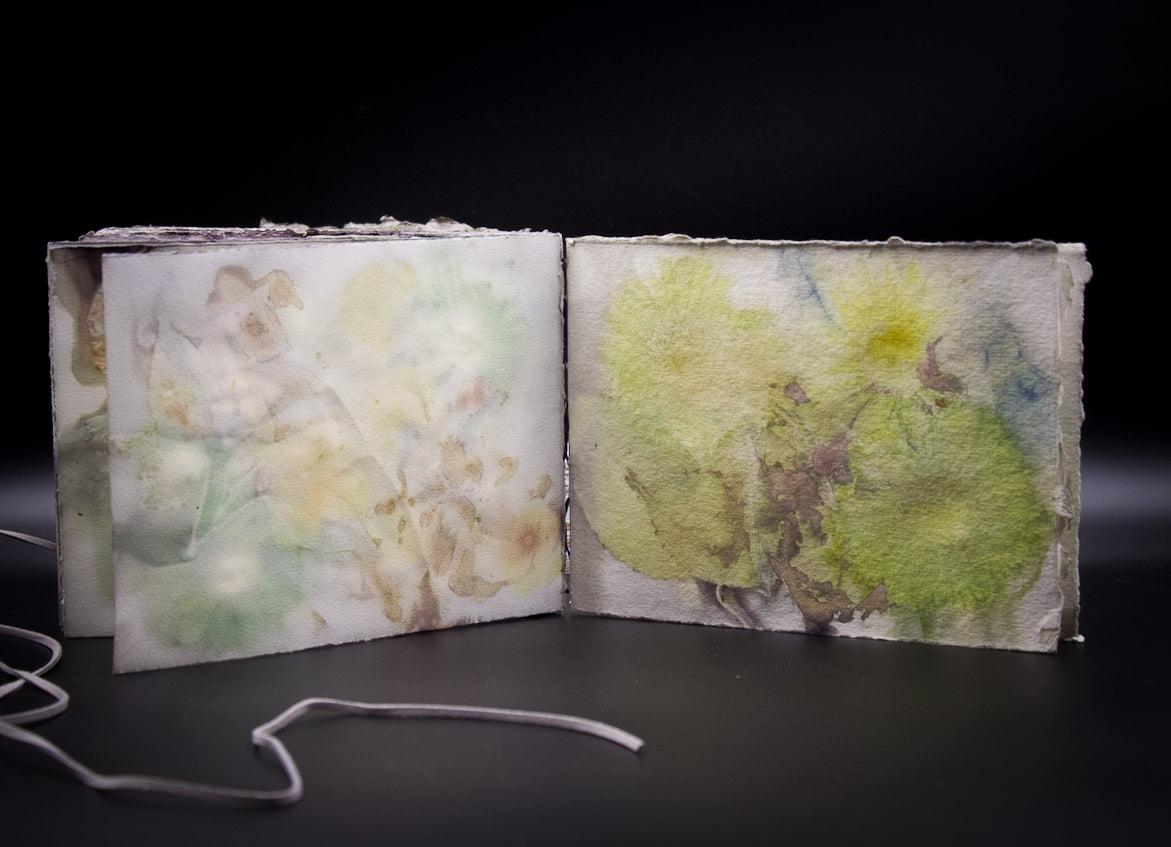 Plant-Stained Paper Journal - Classic One-Sided - Landscape - "Caitlin"