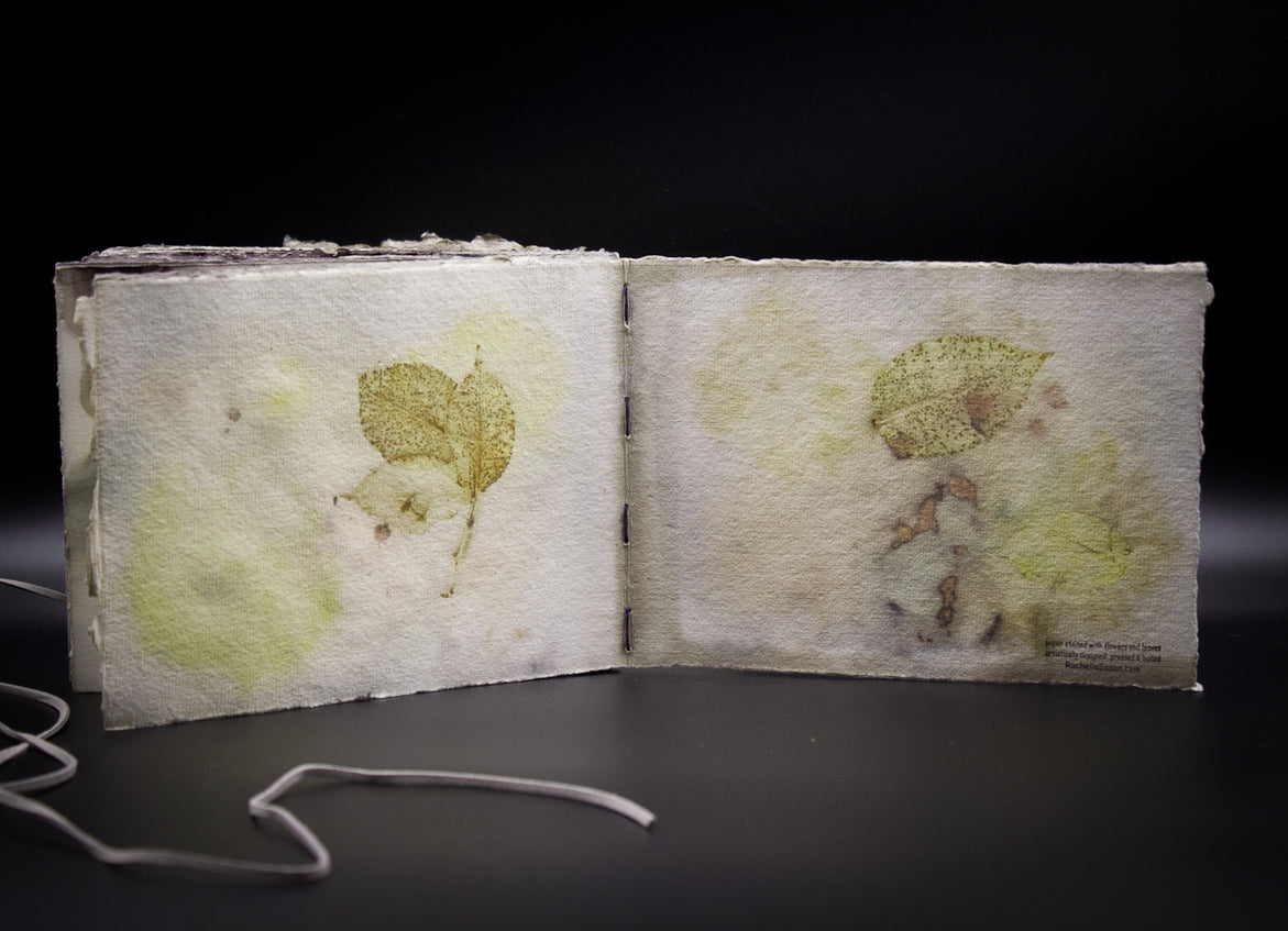 Plant-Stained Paper Journal - Classic One-Sided - Landscape - "Caitlin"
