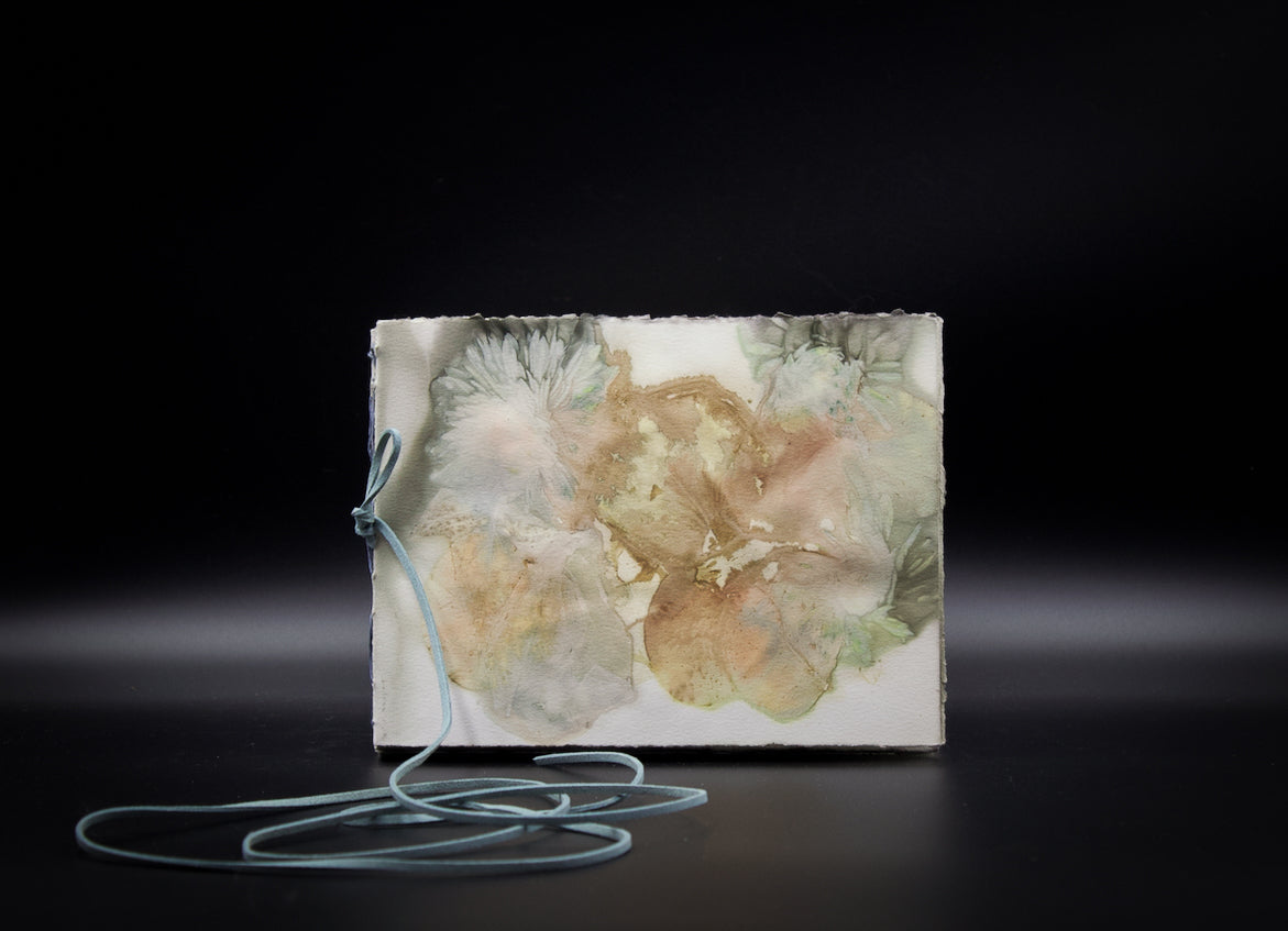 Plant-Stained Paper Journal - "Ashley"  Classic One-Sided - Landscape