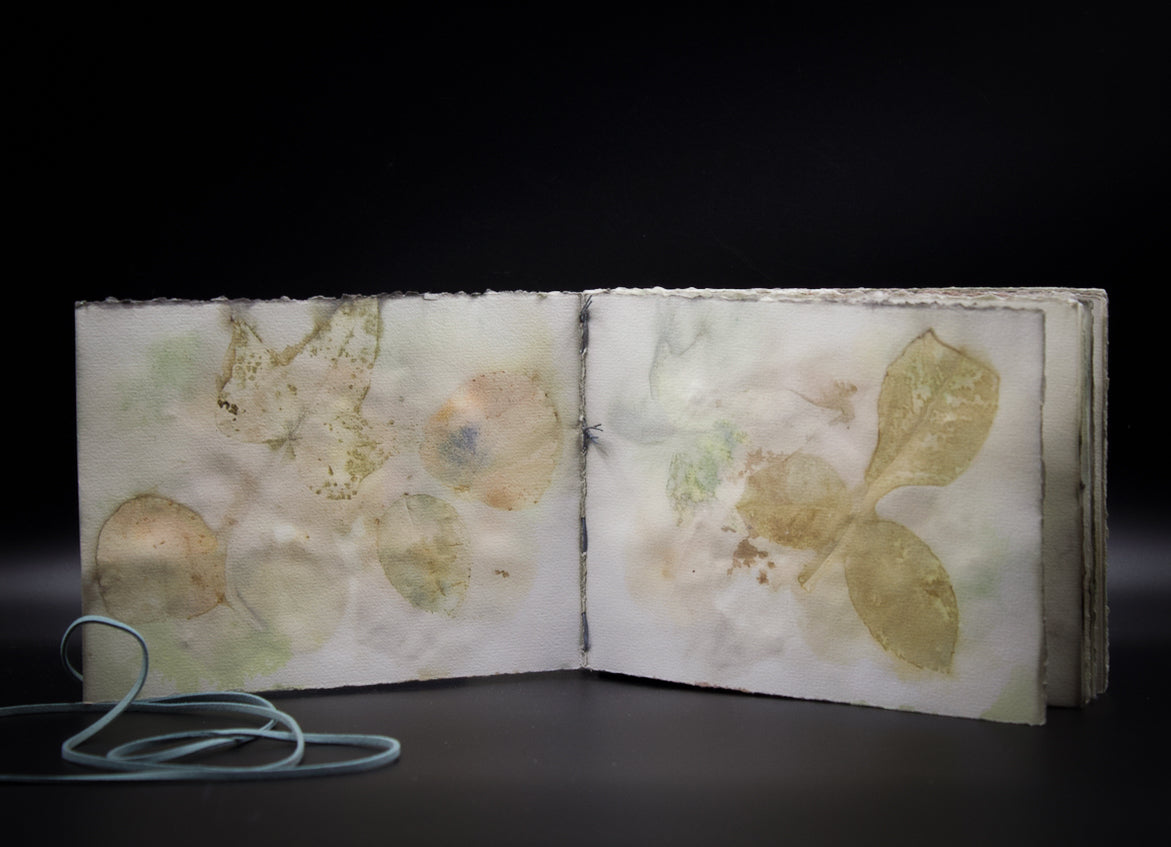 Plant-Stained Paper Journal - "Ashley"  Classic One-Sided - Landscape