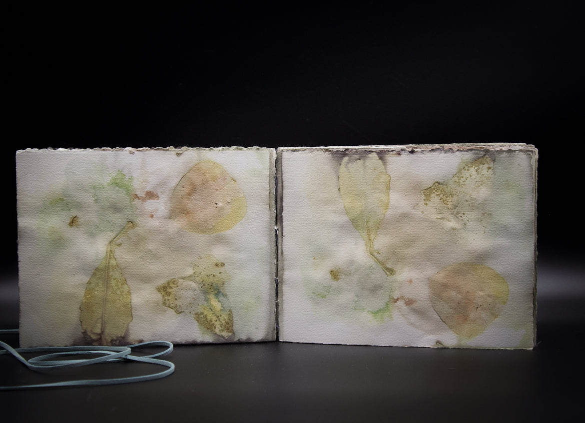 Plant-Stained Paper Journal - "Ashley"  Classic One-Sided - Landscape