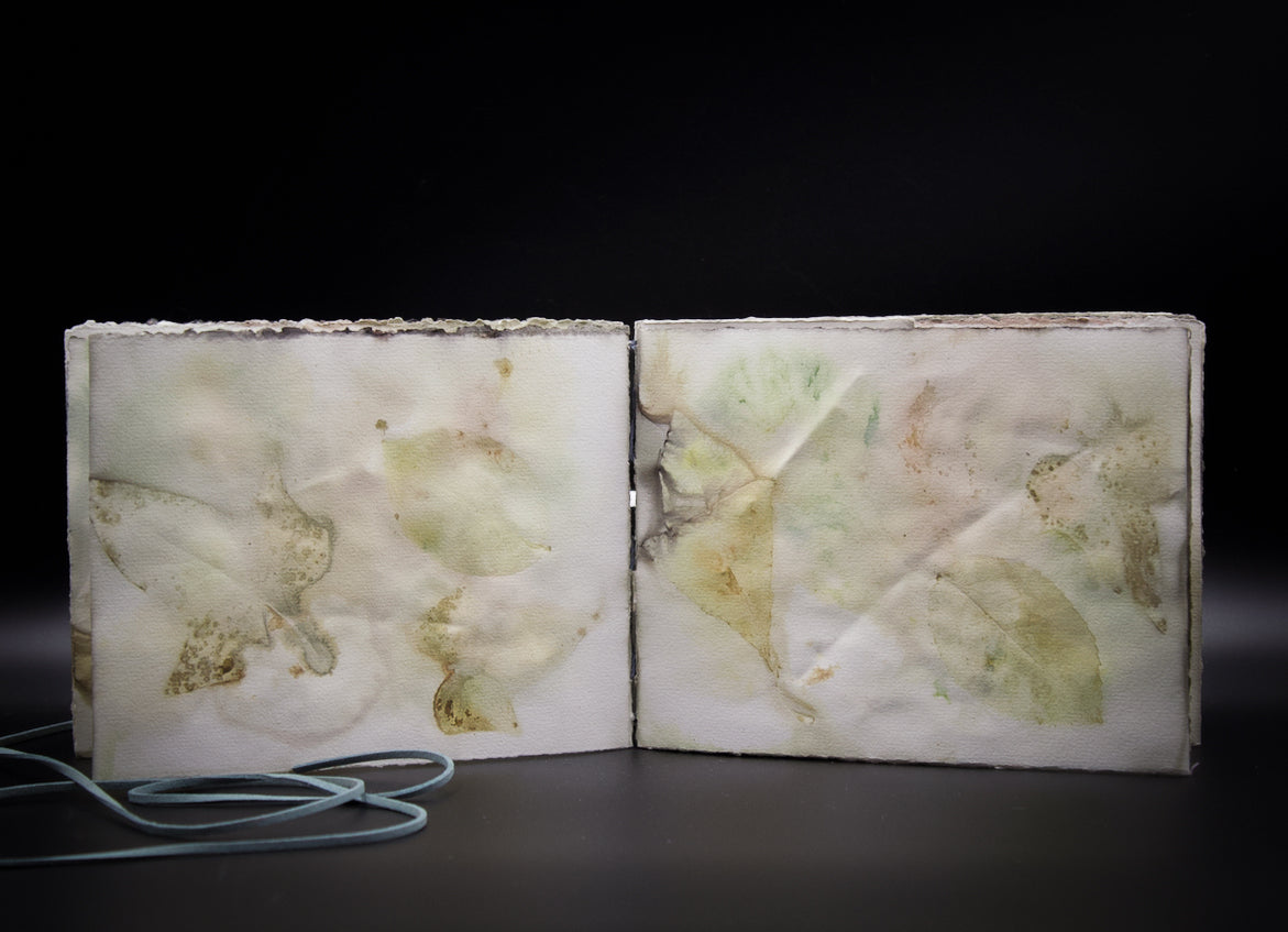 Plant-Stained Paper Journal - "Ashley"  Classic One-Sided - Landscape