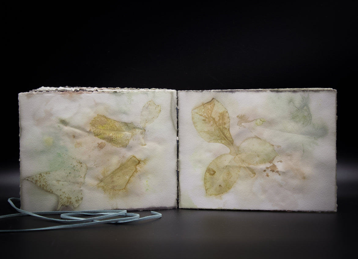Plant-Stained Paper Journal - "Ashley"  Classic One-Sided - Landscape