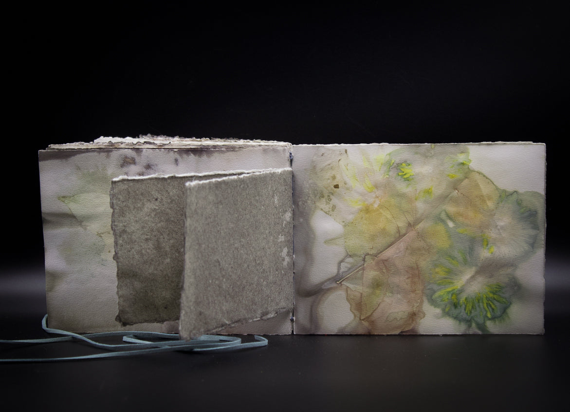 Plant-Stained Paper Journal - "Ashley"  Classic One-Sided - Landscape