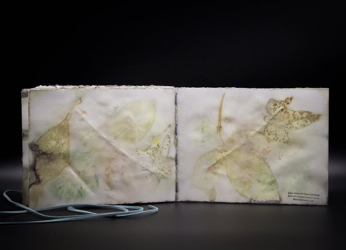 Plant-Stained Paper Journal - "Ashley"  Classic One-Sided - Landscape