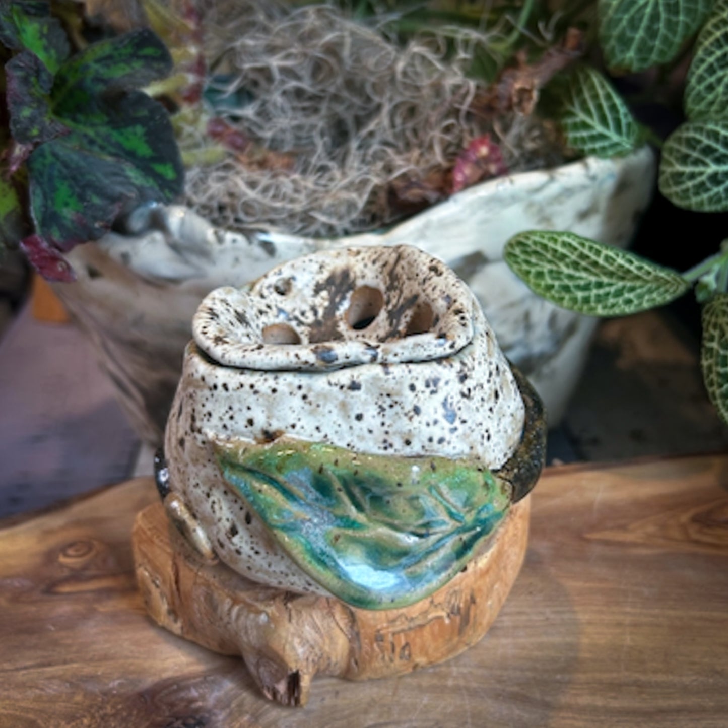 Vase - Flower "Frog" Arranger - Small - Leaves & Sand