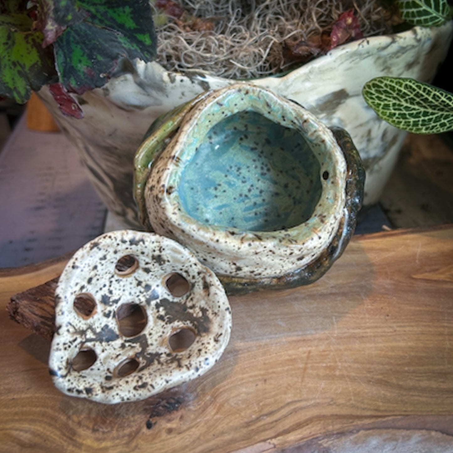 Vase - Flower "Frog" Arranger - Small - Leaves & Sand