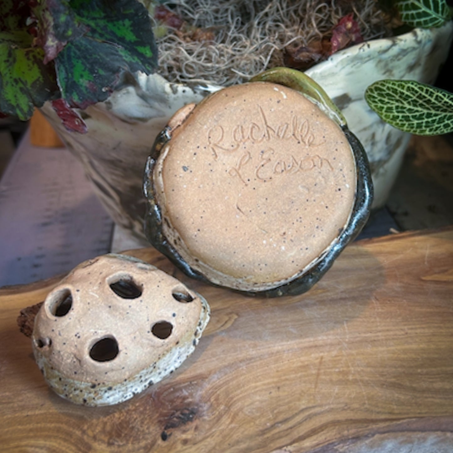 Vase - Flower "Frog" Arranger - Small - Leaves & Sand