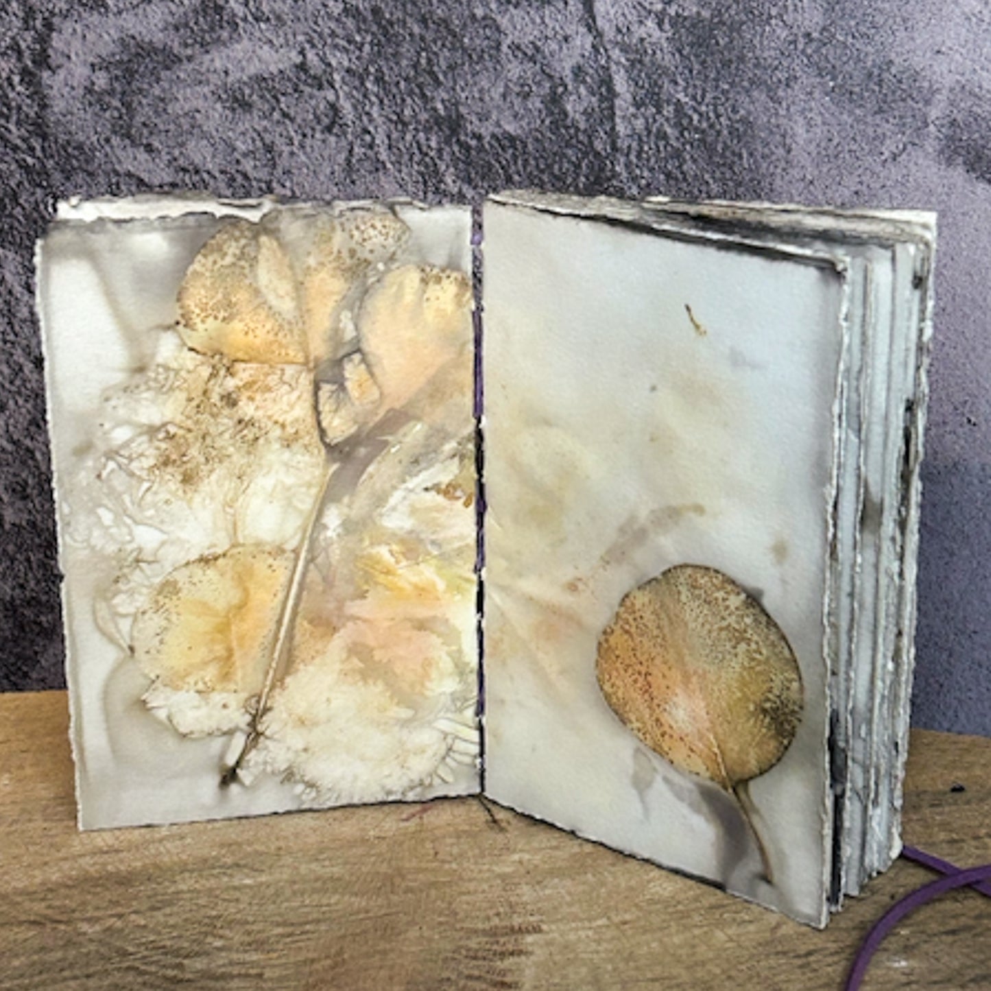 Plant-Stained Paper Journal - Small Classic - "Lizzie" - Plant-Stained Interior Pages