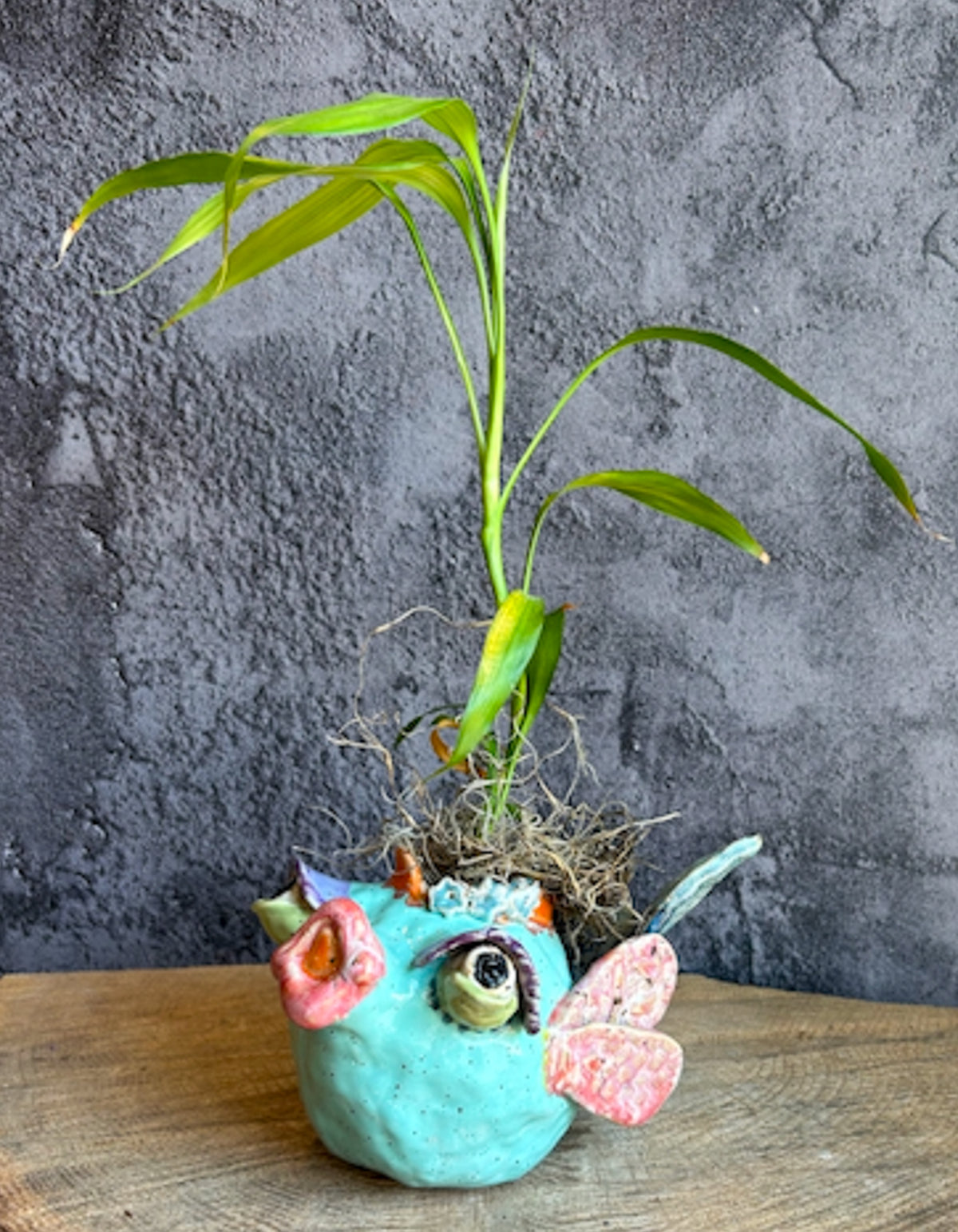 Pottery Class -The Artful Animal- 2 Part Class