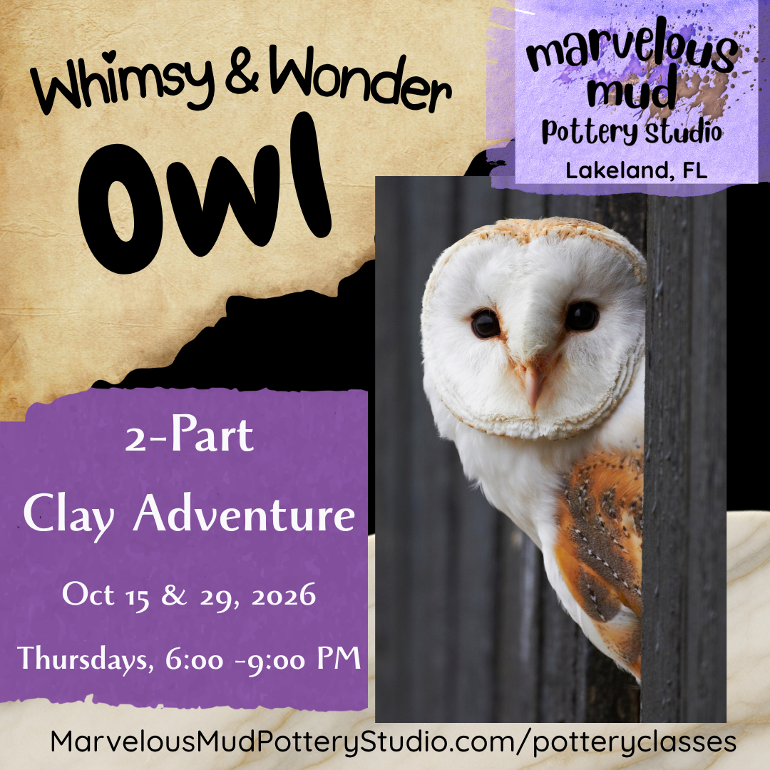 Pottery Class -Whimsy & Wonder Owl - 2 Part Clay Adventure