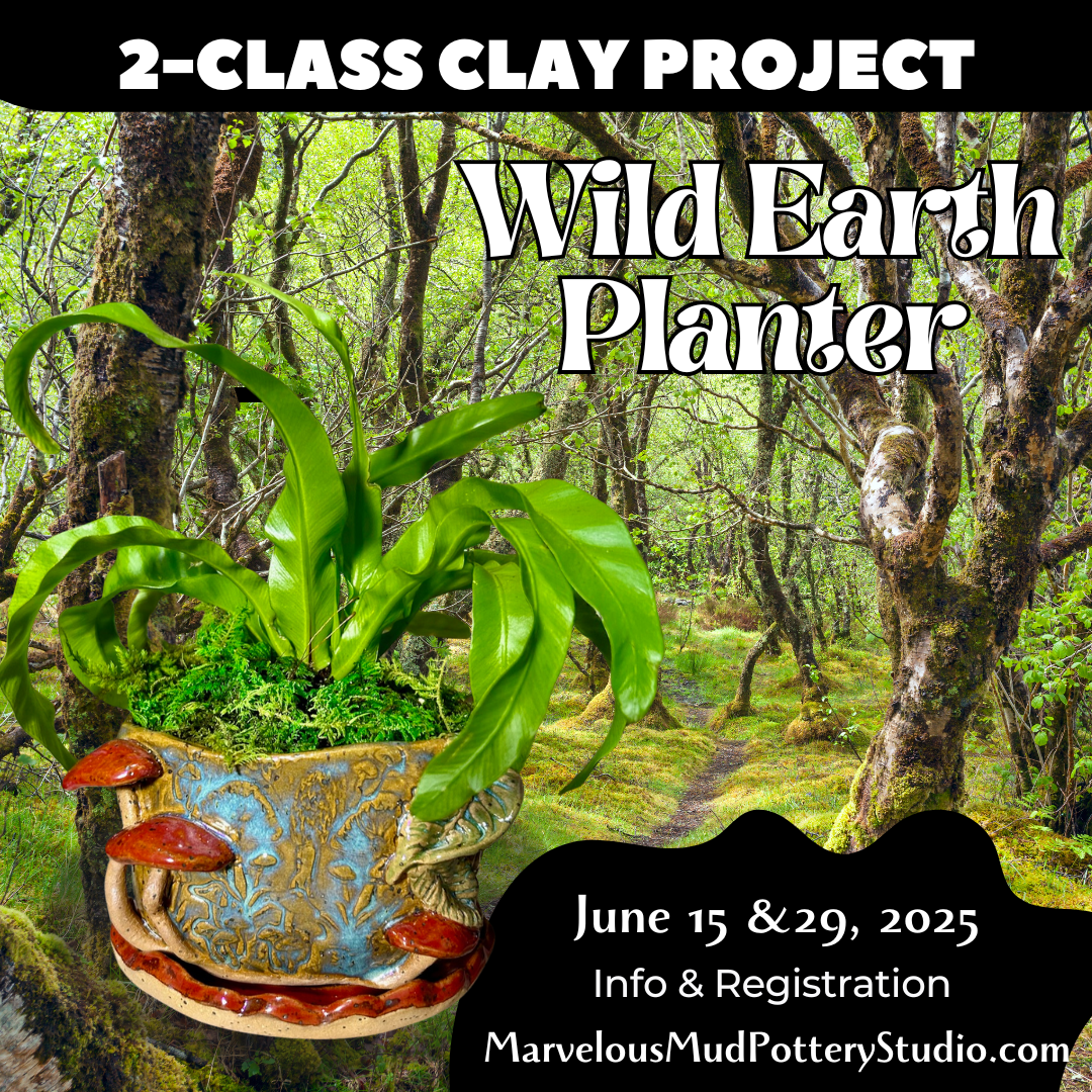 Pottery Classes - Wild Earth Planter - Two Part Clay Classes