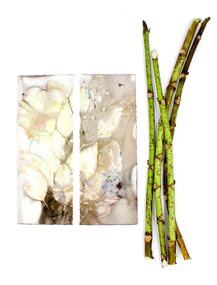 Plant-Stained Paper Bookmark - Artist Choice