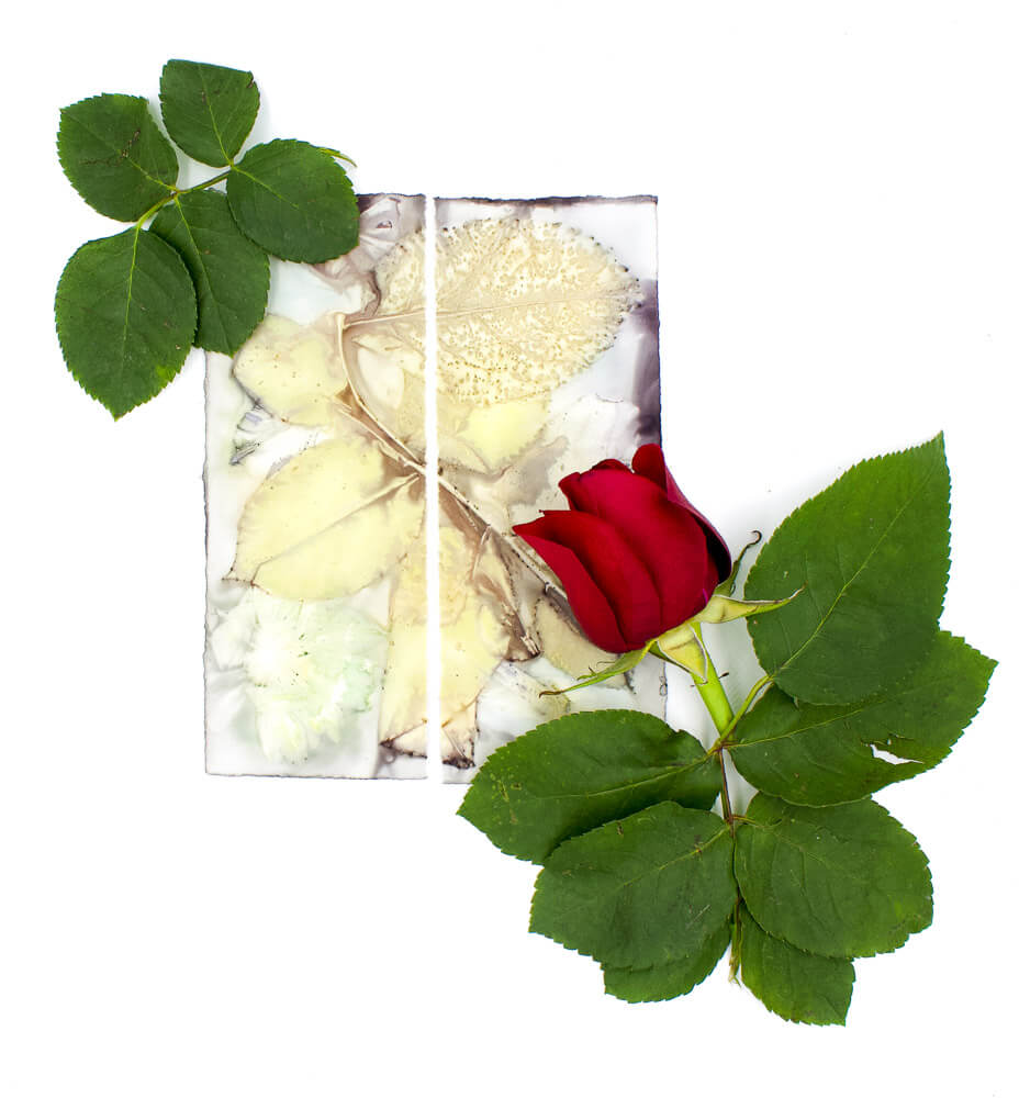 Plant-Stained Paper Bookmark - Artist Choice